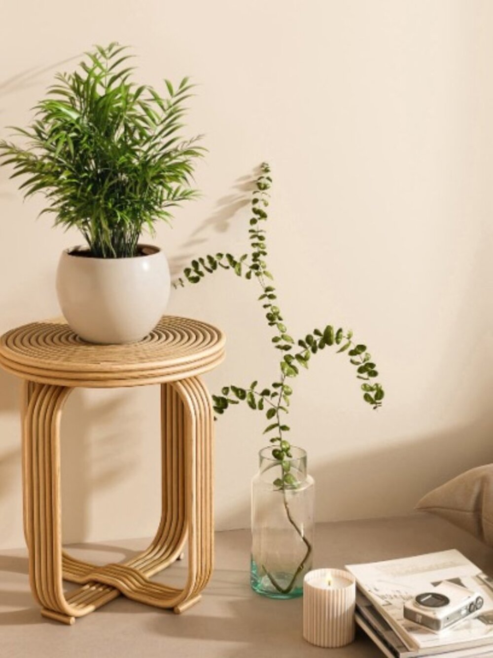Easyplant Self-Watering Ceramic Planter Pot. Shiny Eggwhite. Monet. - Picture 10 of 10